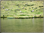 foto Lago di Montalon